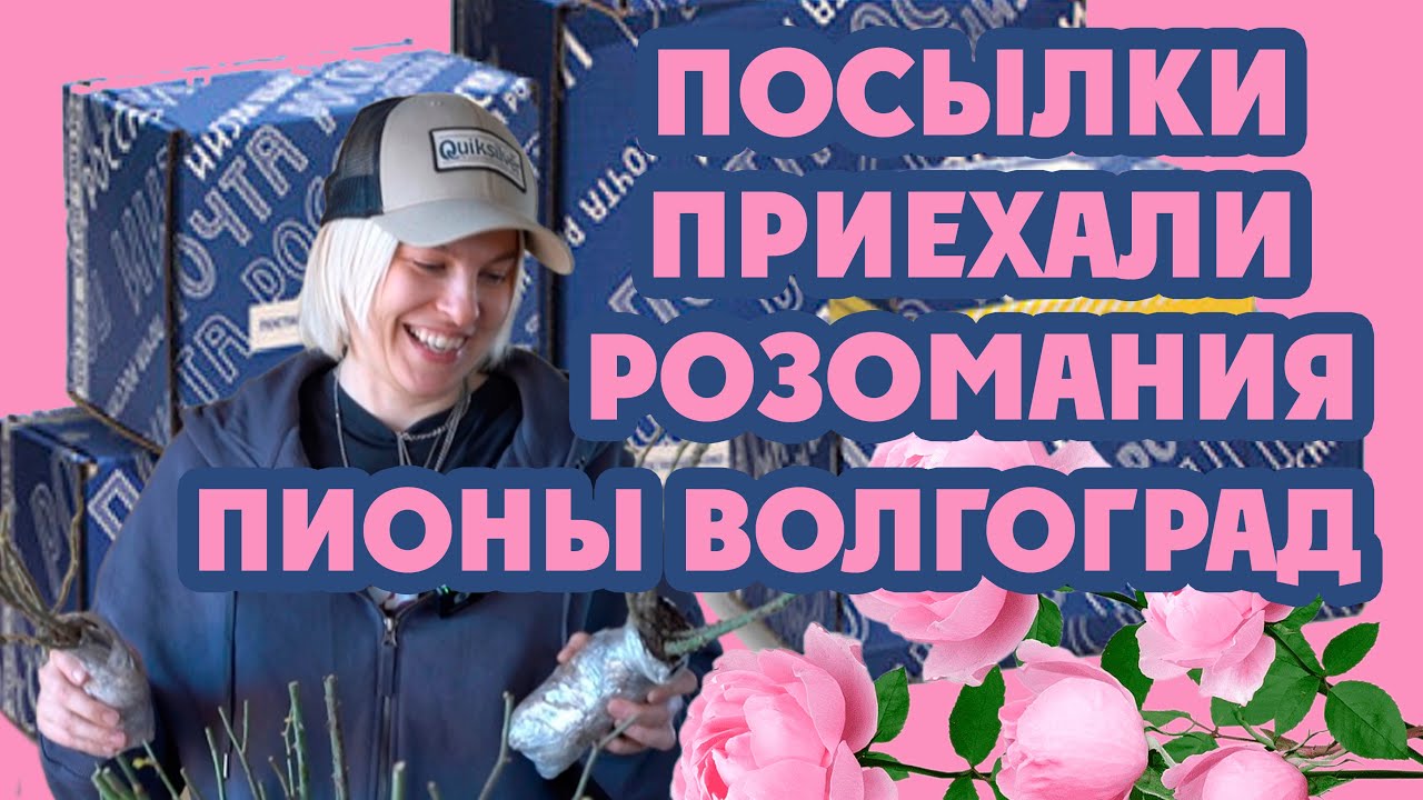 Распаковка. Розомания. Пионы Волгоград. Посадила пионы в кашпо.