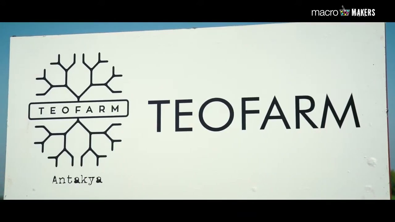 Teofarm   MacroMakers