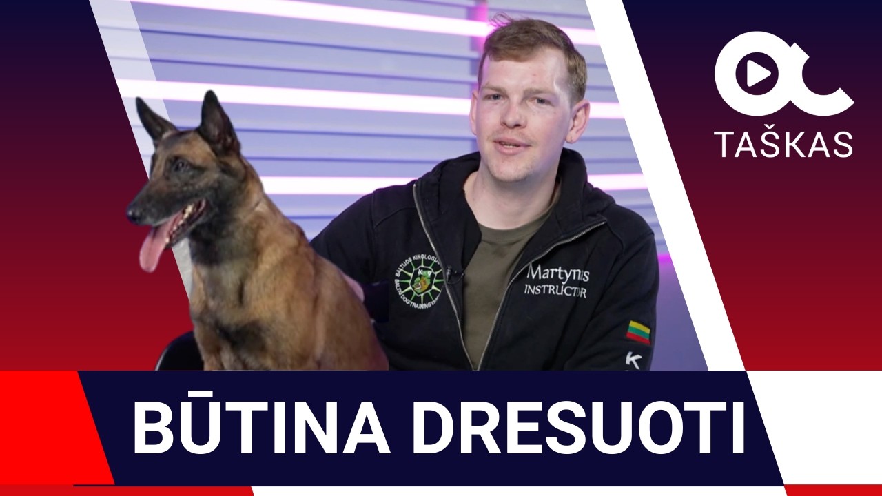 Dresūros specialistas: jei šuns neauklėsime, jis pradės rodyti hierarchiją ir taps šeimos karaliumi