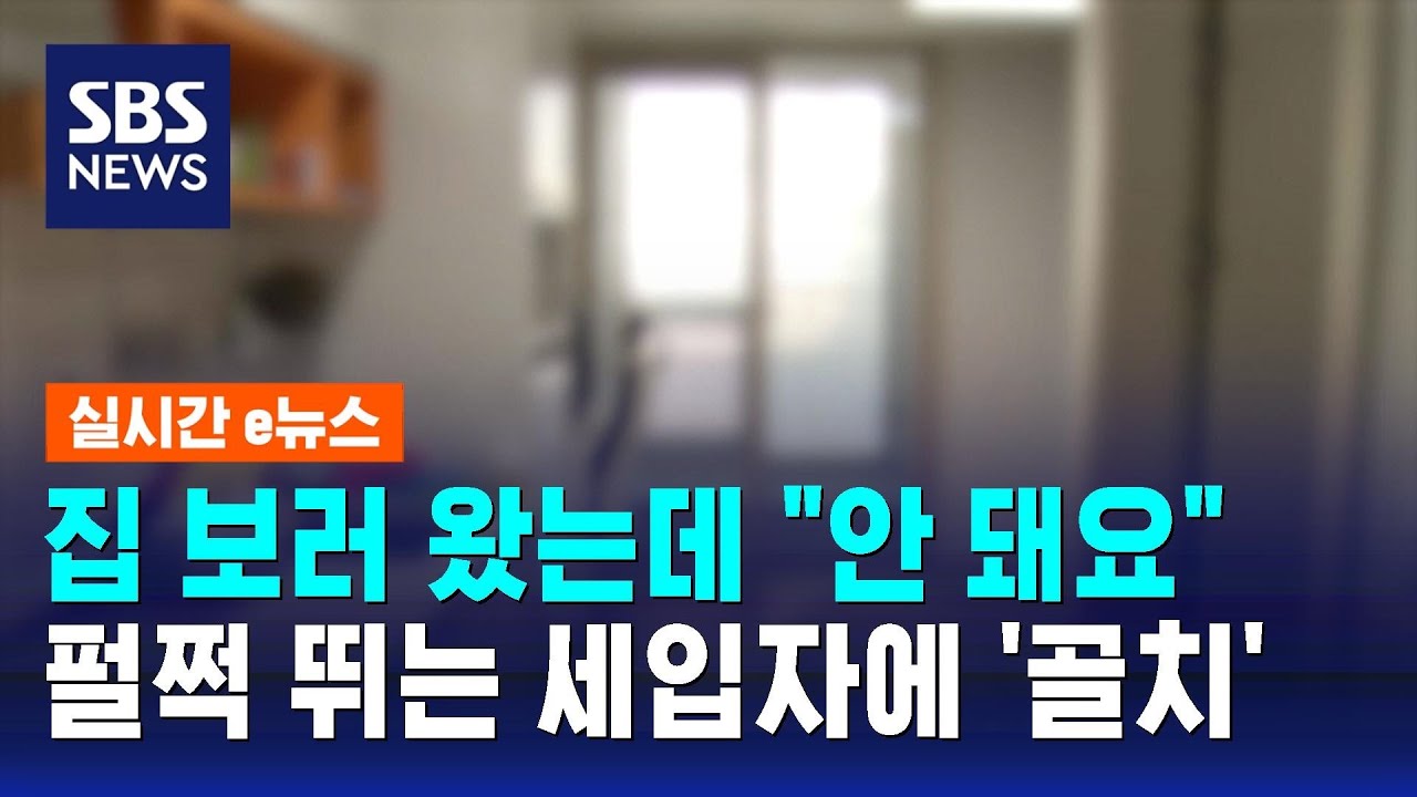 집 보러 왔는데 