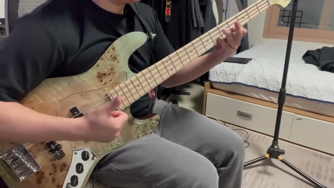 【ZUTOMAYO】 - Byoushinwo Kamu / 秒針を噛む (BASSCOVER)