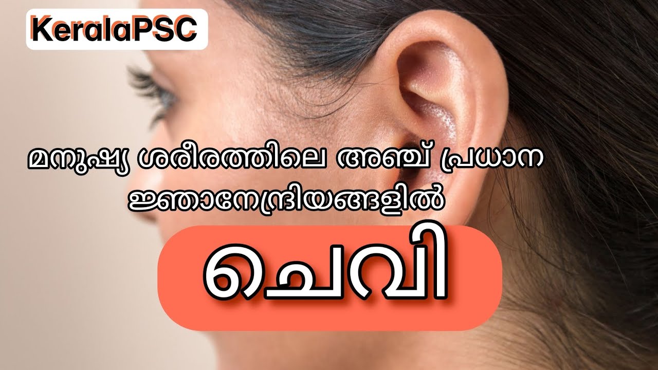 ചെവി - SenseOrgans #keralapsc #trianglepsc 