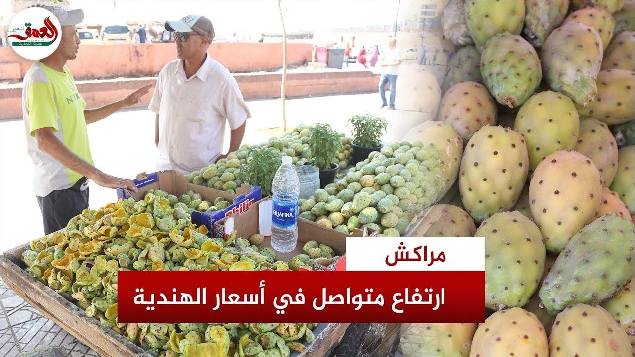 الكرموسة بـ 5 دراهم..باعة بمراكش يشتكون من ضعف الاقبال ويكشفون أسباب الغلاء