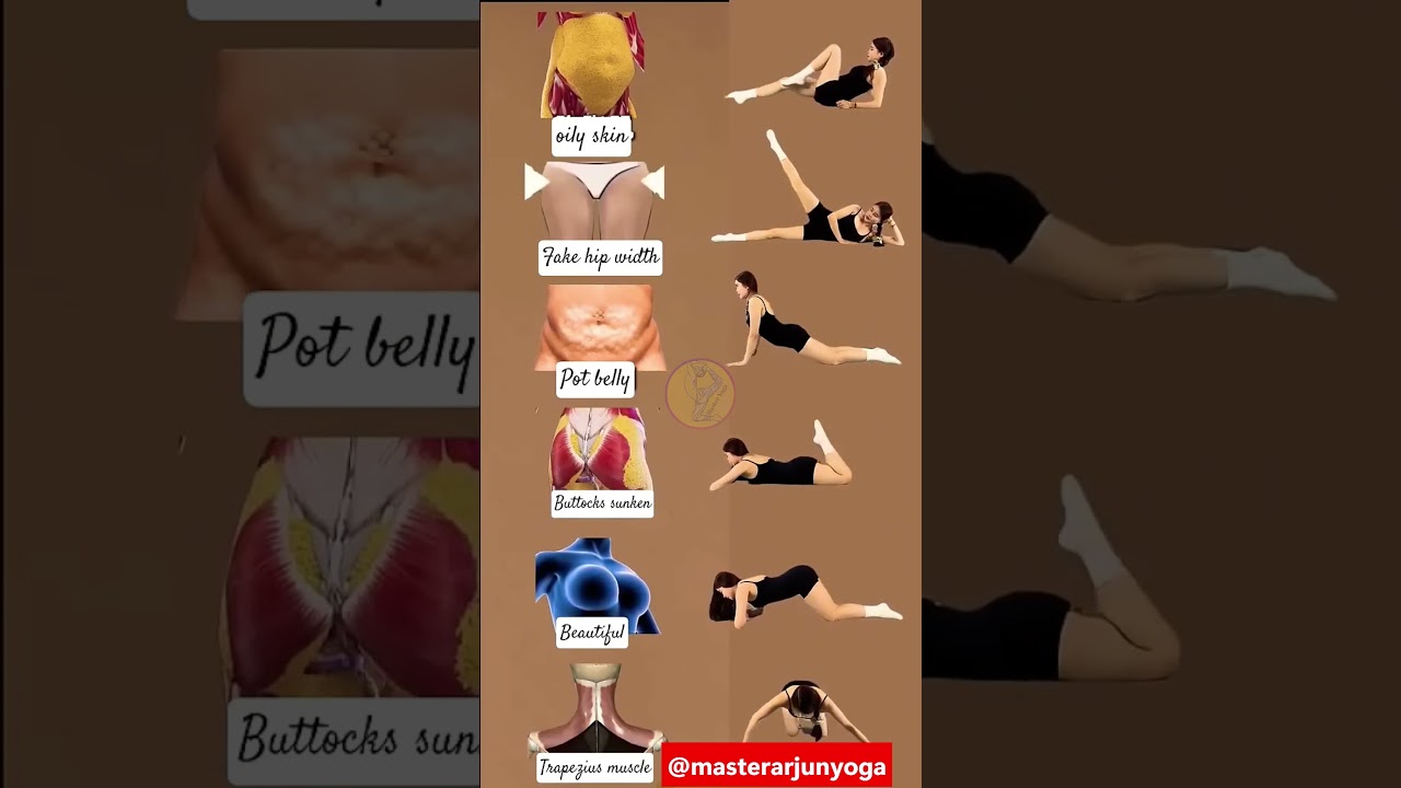 belly fat loss exercise | exercises to lose belly fat | exercise for belly fat