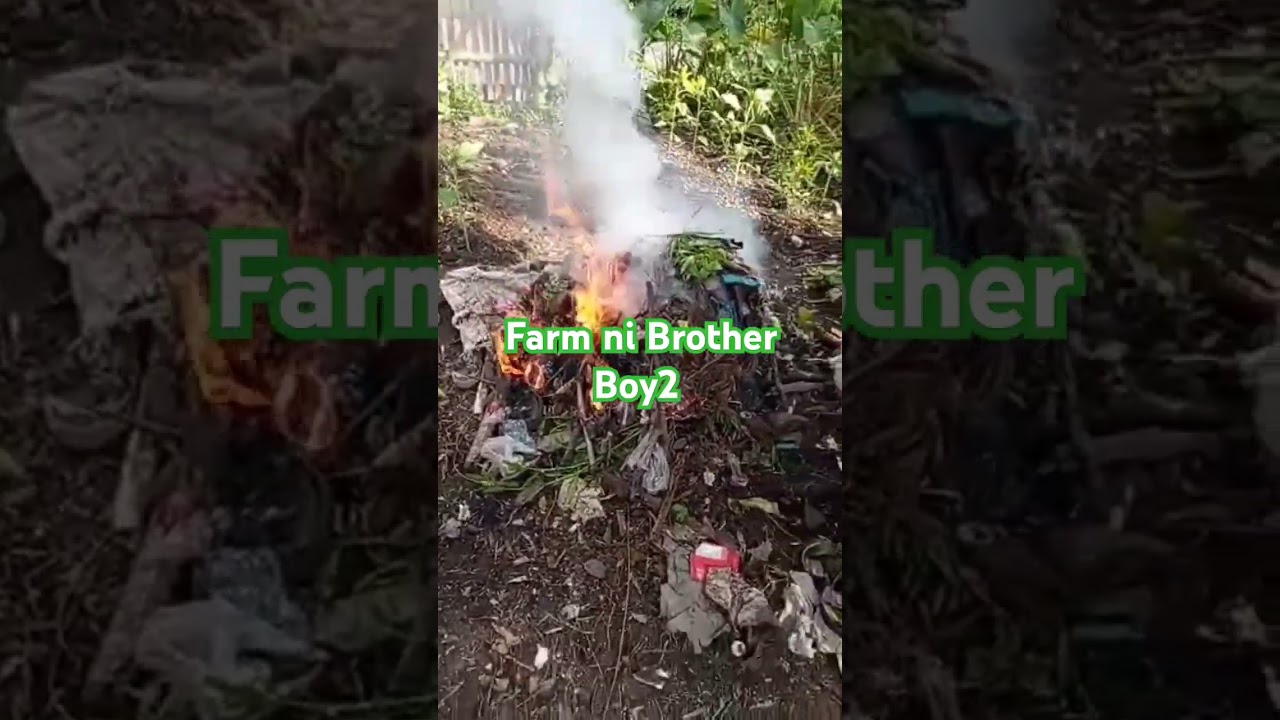 FARM ni Brother Boy2 💚 @BigC_T.V  🥰  #bigctv #farming #farmlife #farmer