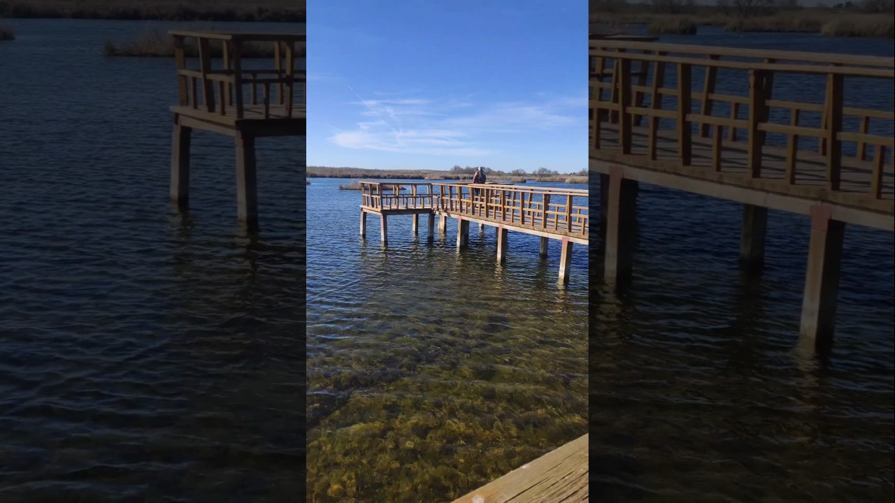 Espectaculares Tablas de Daimiel. Ciudad Real | Vlog diario