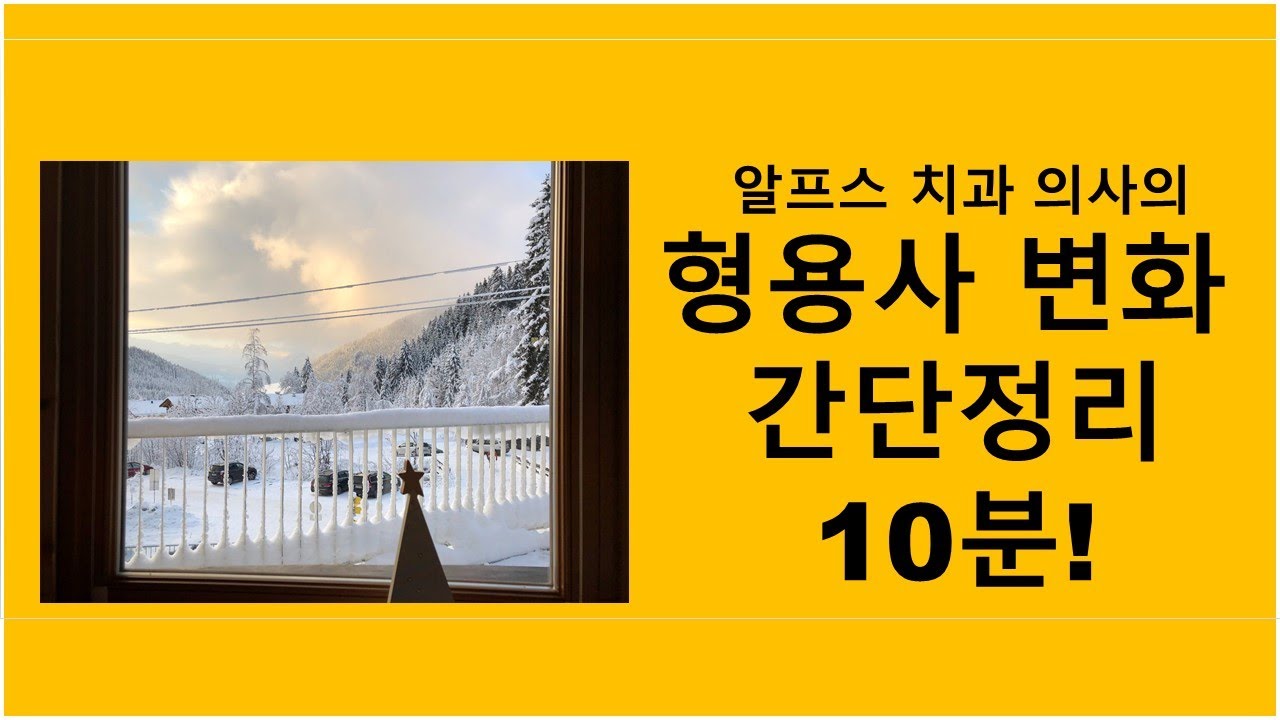 독일어 형용사 변화 간단정리 10분 만에!