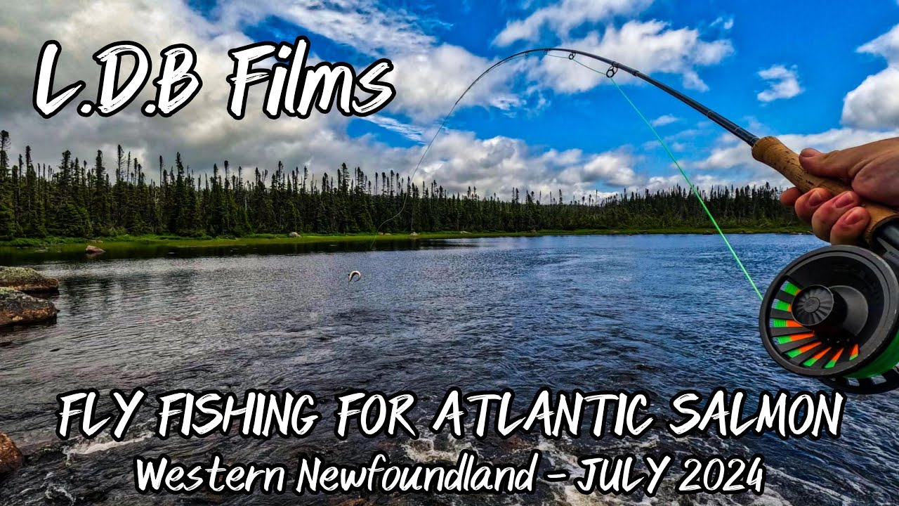 Fly fishing for Atlantic Salmon - Western Newfoundland
