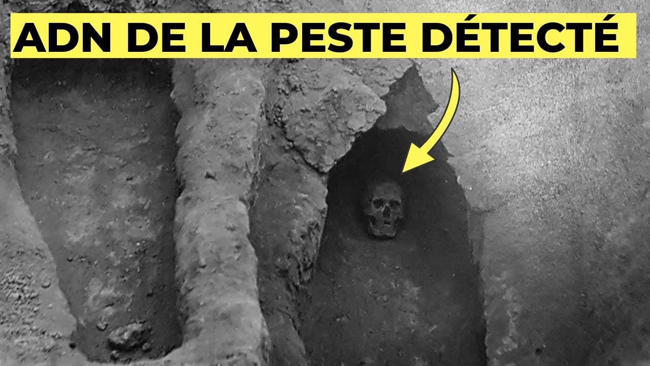 L'ADN ancien Révèle enfin la VRAIE Origine de la Peste Noire