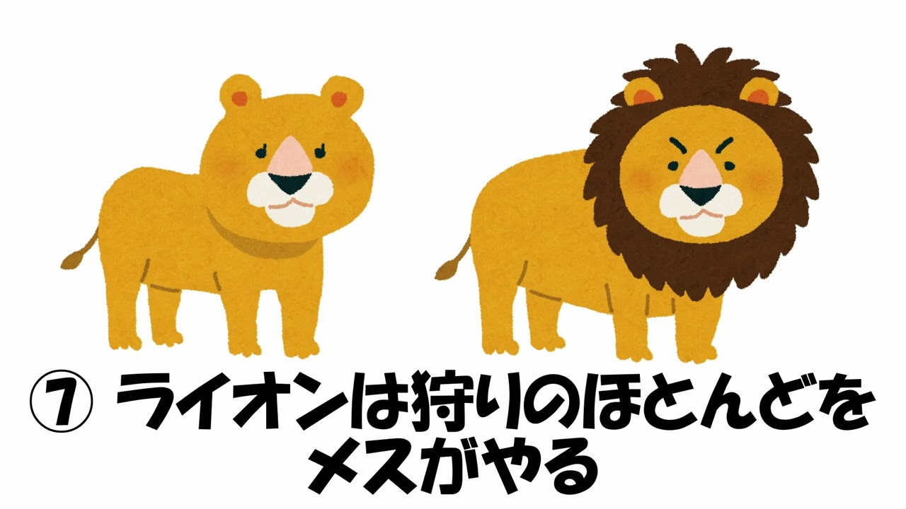 実はイメージと違う！動物の衝撃雑学10選