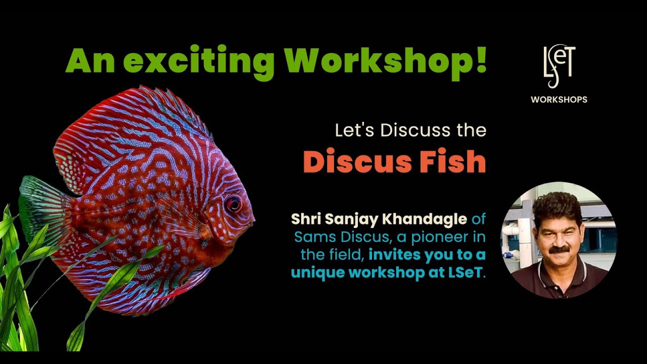 Discuss the Discus Fish - LSeT Workshop by Sanjay Khandagale