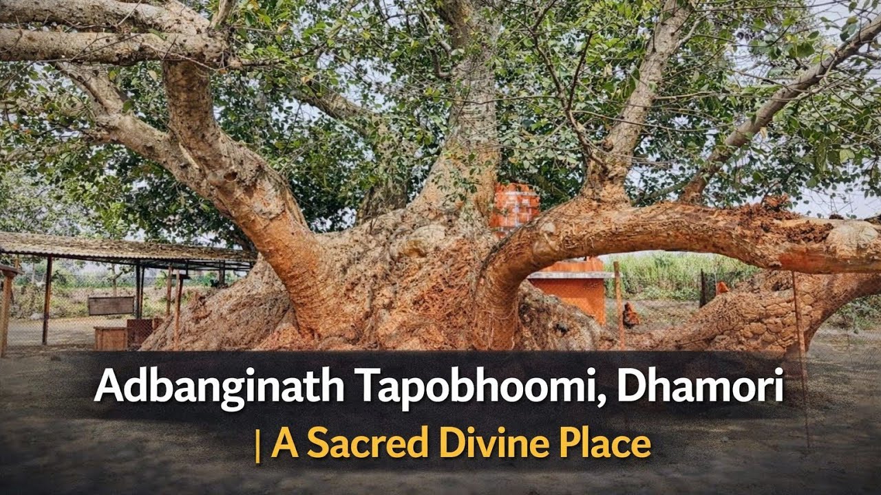 Adbanginath Tapobhoomi Dhamori #navanath |Tamil Version|