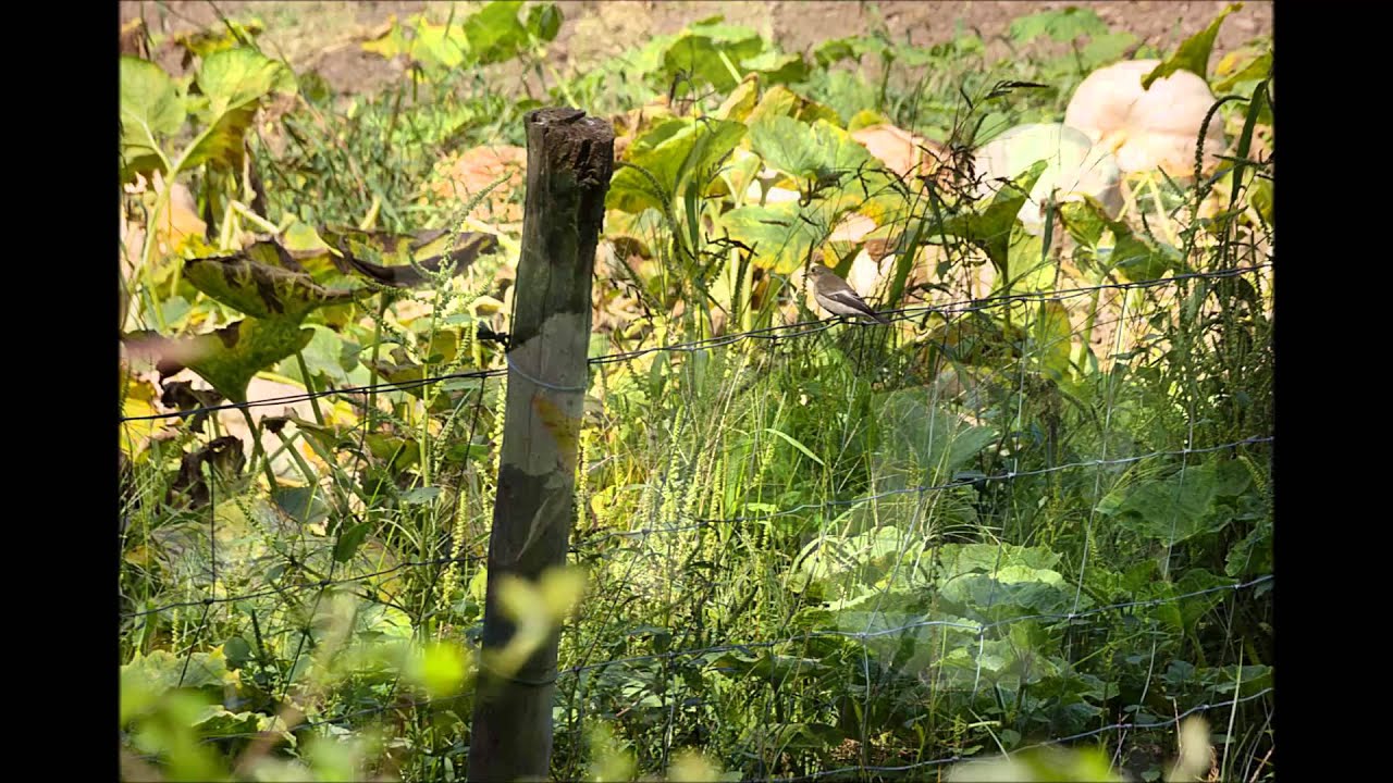El Río Quiroga y su entorno 2013