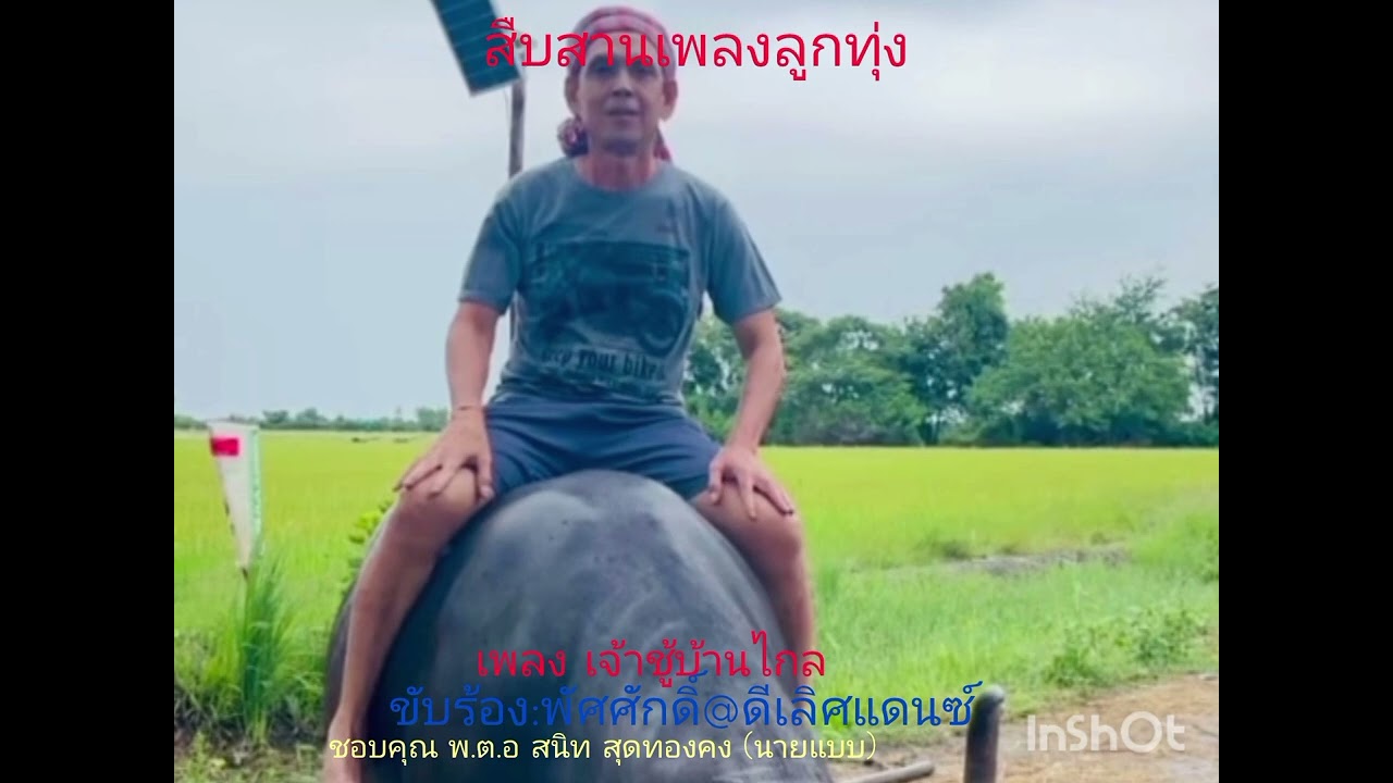 เพลง เจ้าชู้บ้านไกล #พัศศักดิ์@ดีเลิศแดนซ์