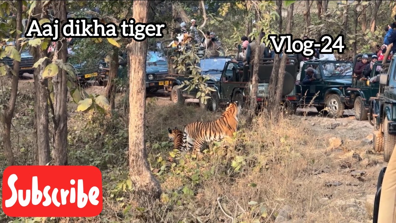 Aaj tiger dikh gya (Vlog-24)