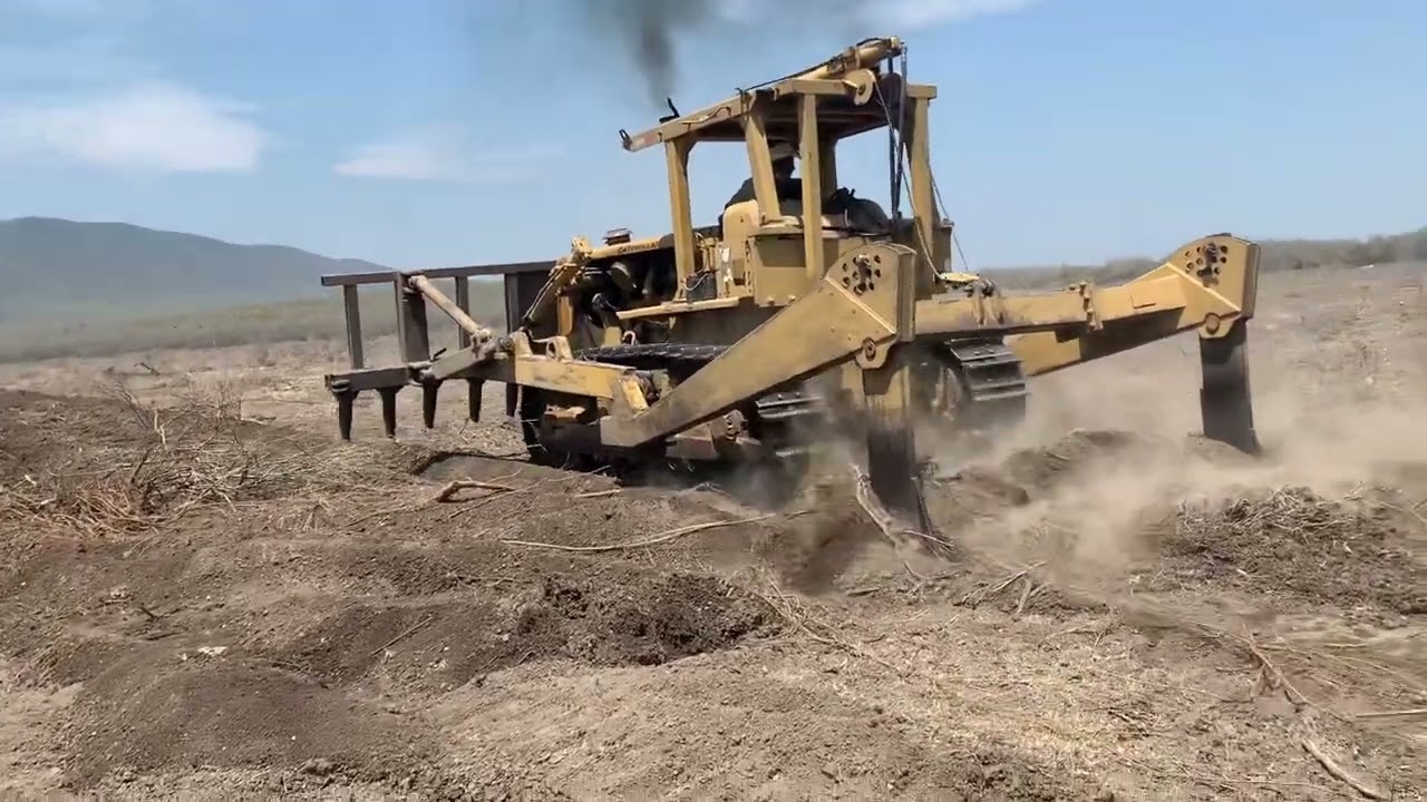 Desmontando con Bulldozer D8-H con root cutter y peine