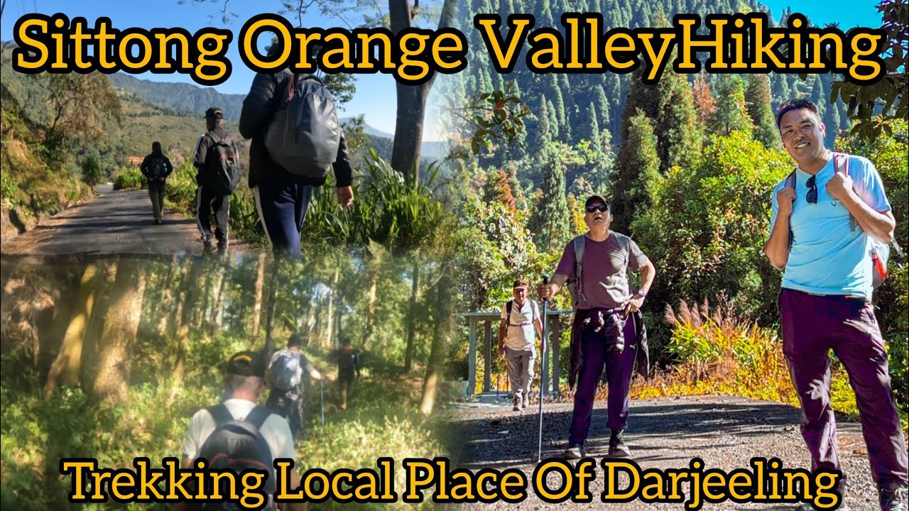 Hiking Sittong Via Jungpana ||| Hiking Local Village Of Darjeeling 