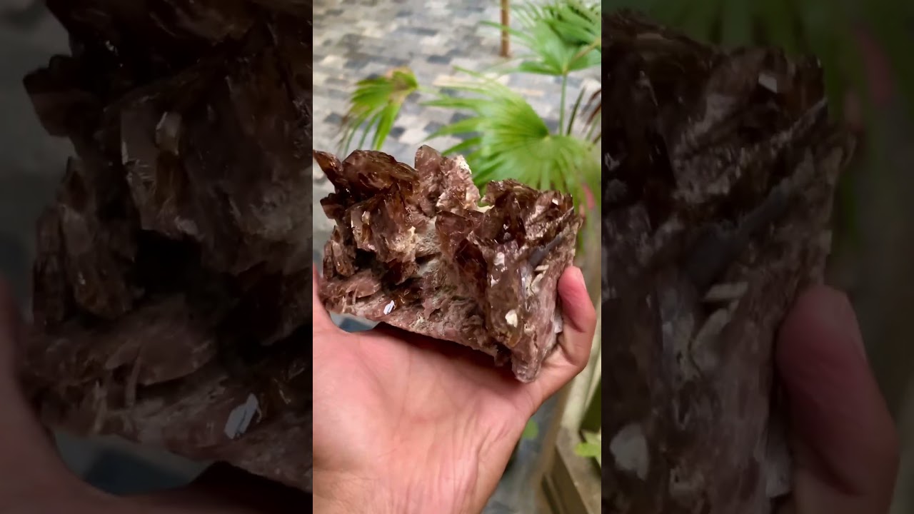 Axinite Specimen || #short #shortvideo #gemstone #minerals #shorts