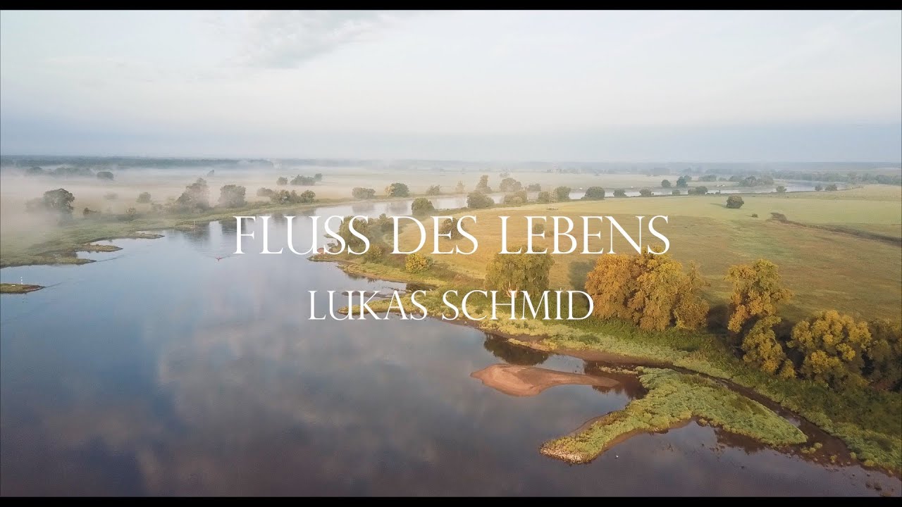Fluss des Lebens - Karpfenangeln an der Elbe
