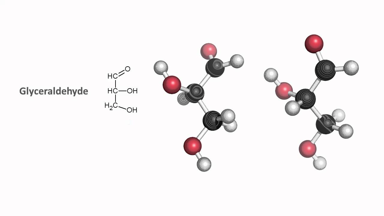 Monosaccharides and stereochemistry