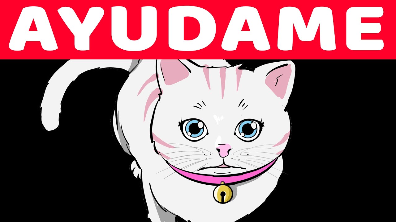 10 Formas En Las Que Tu Gato Pide Ayuda