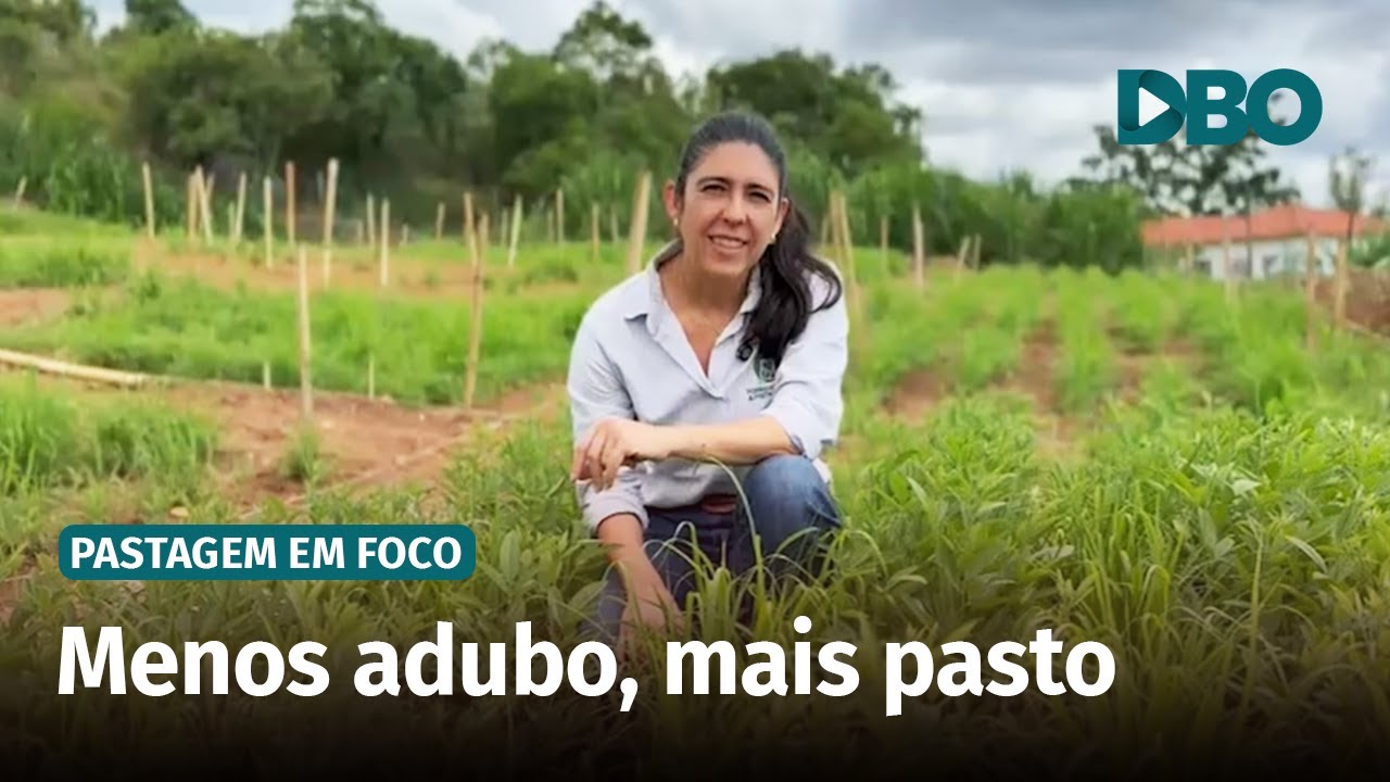 Quais as vantagens do uso de leguminosas em pastagens?