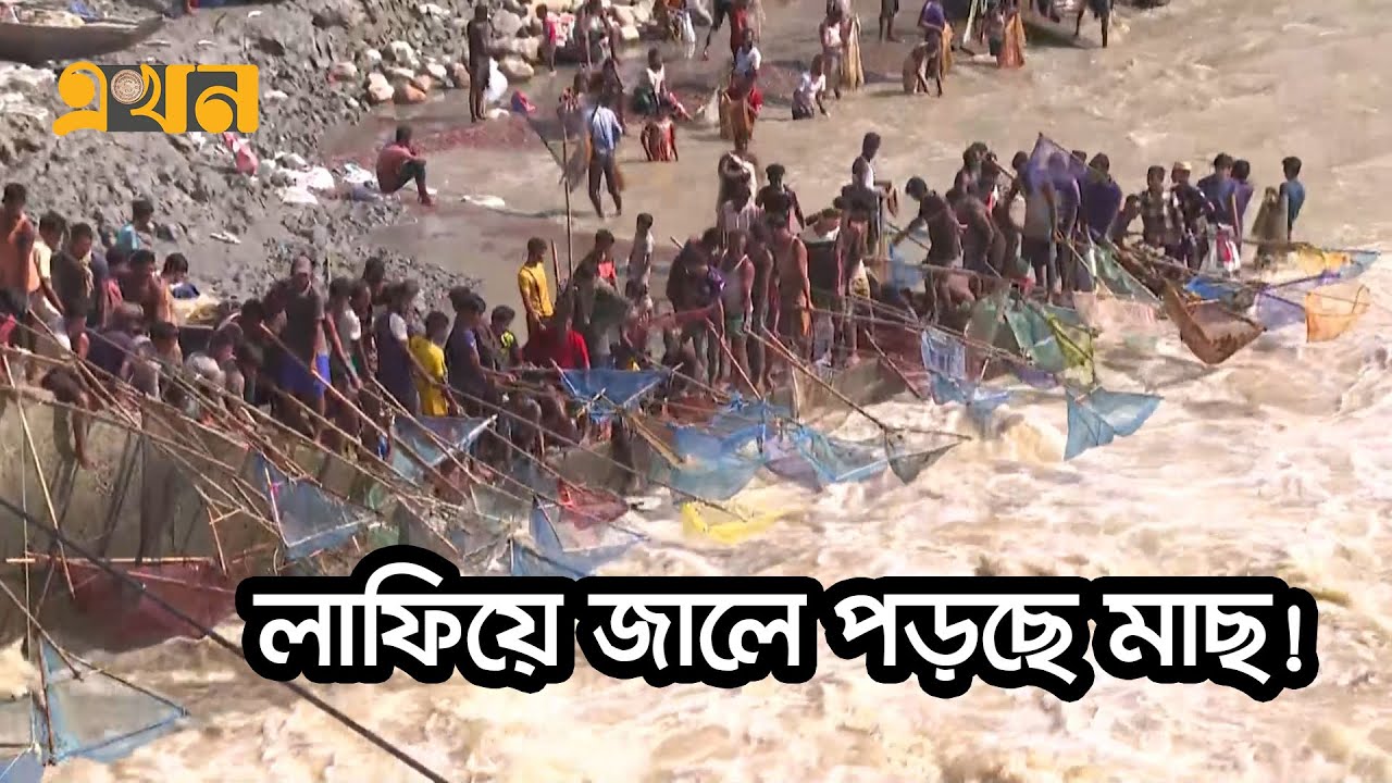 পানির উপর জাল ধরে রাখলেই মিলছে মাছ! | Unique Fishing Techniques | Feni Flood | Ekhon TV