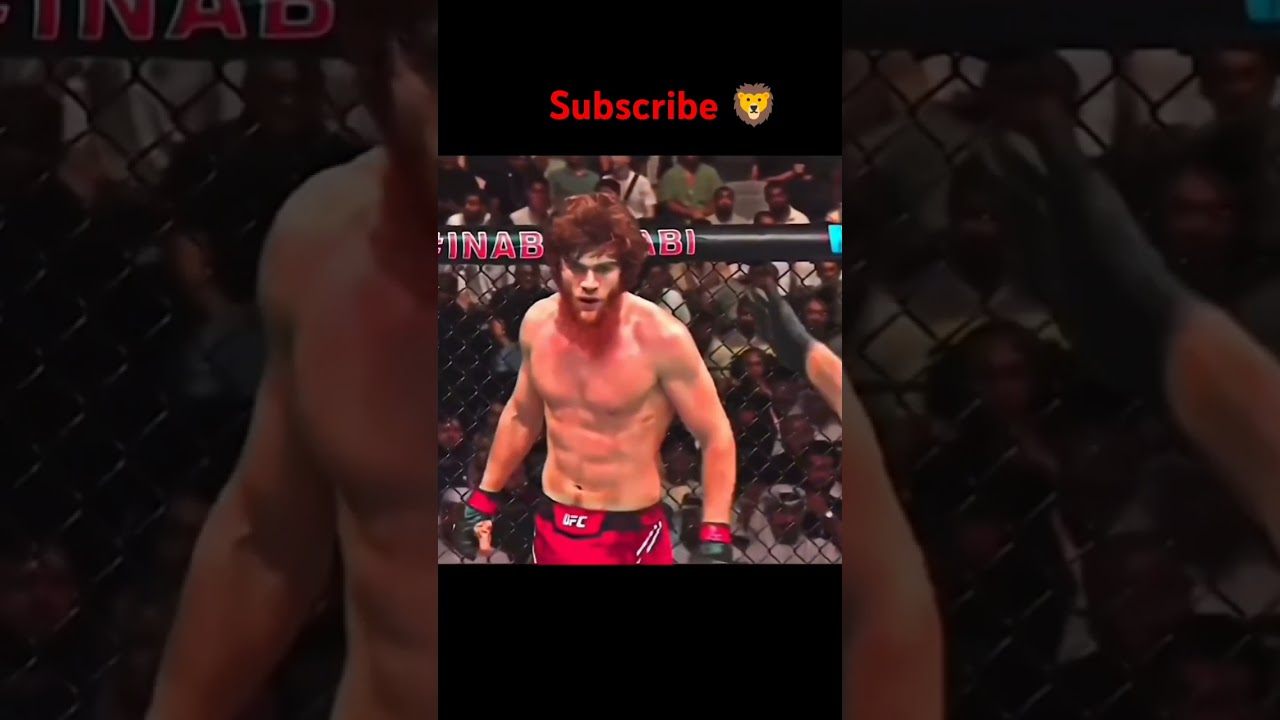 #mma #ufc #Shara bullet lion in UFC#fight #entertainment #🦁🦁🦁🦁🦁🦁🥳🥳