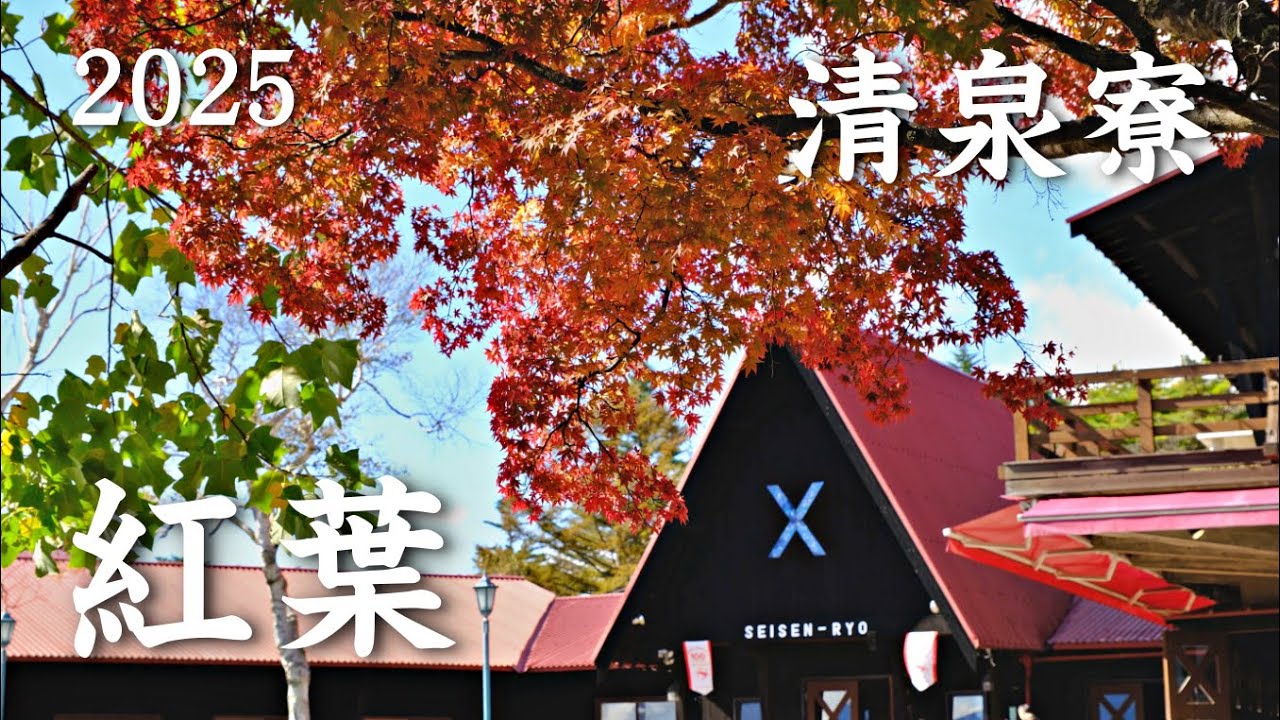 清泉寮の秋景色 2025 北杜市 | Autumn scenery at Seisenryo ｜山梨県観光スポット
