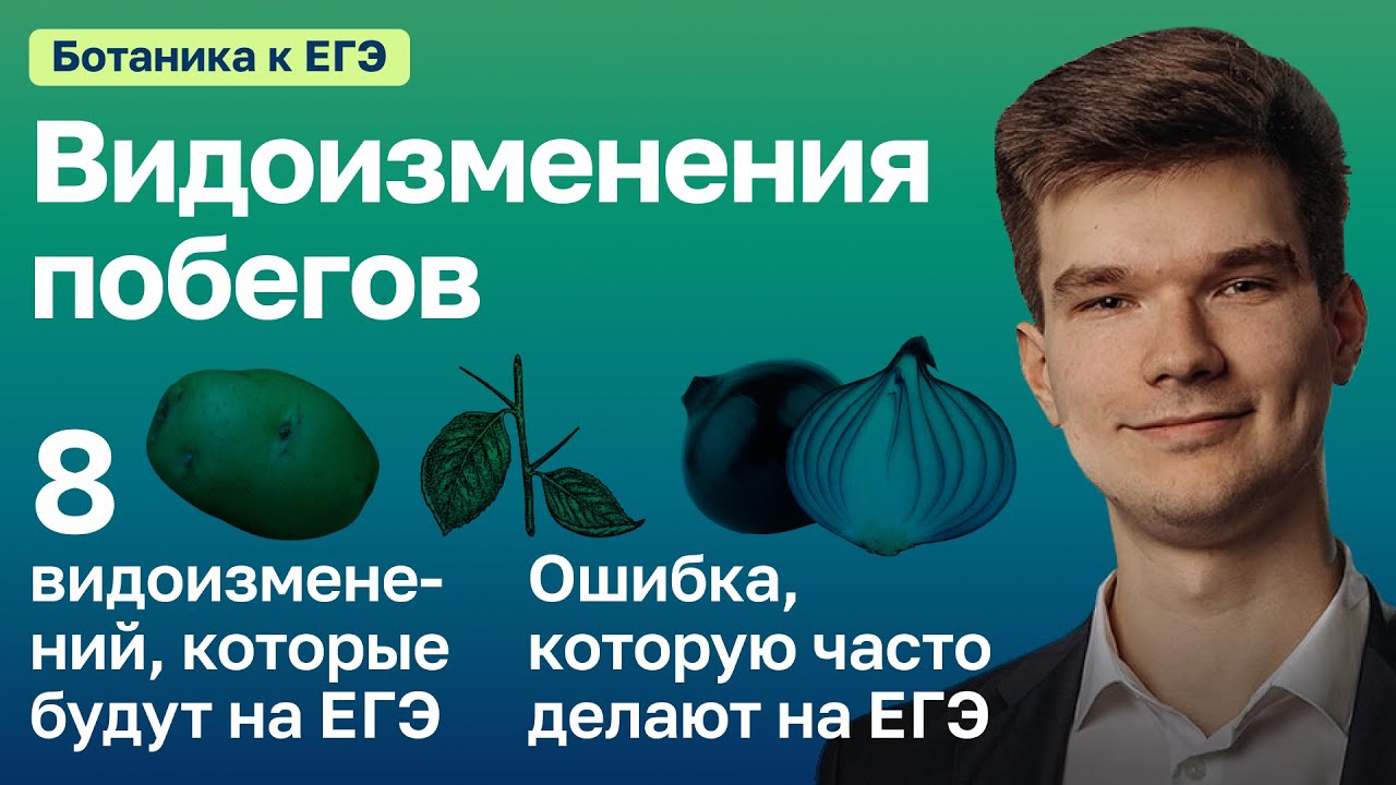 7.20. Видоизменения побегов | Ботаника к ЕГЭ | Георгий Мишуровский