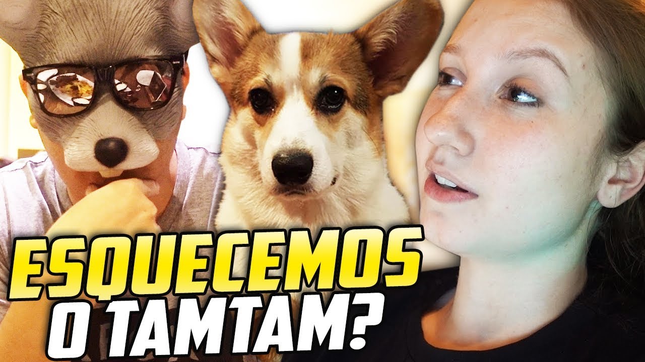 DEIXAMOS O TAMTAM SOZINHO EM SÃO PAULO! | VIDA DA CEREJA #10