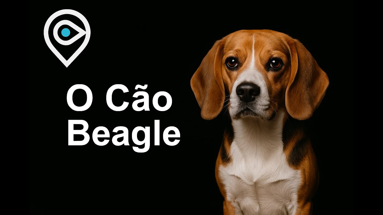 O Cão Beagle