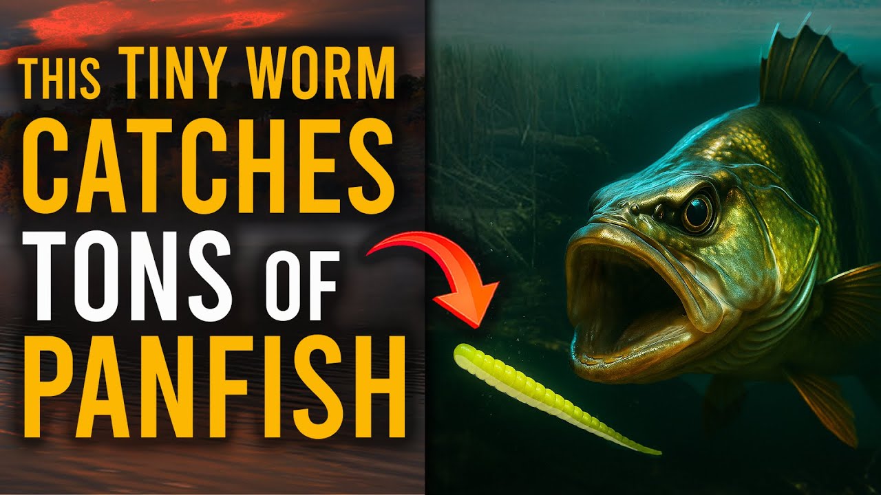 СВЕРХЛЕГКАЯ РЫБАЛКА НА РЫБУ! (Micro Finesse Worm)