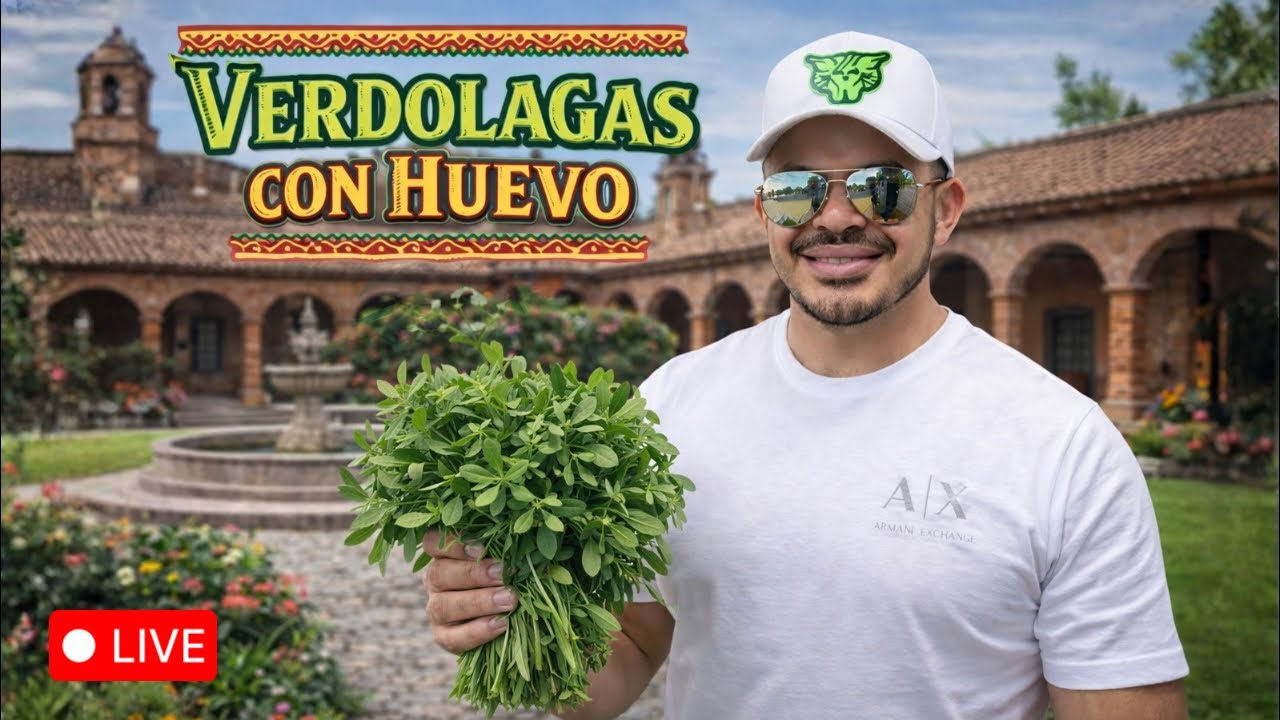 Huevo con Verdolagas rico ! #live #receta #cocina