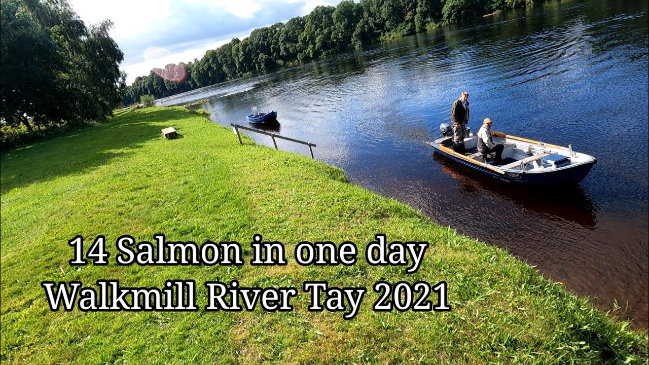 14 SALMON IN ONE DAY AUGUST 2021