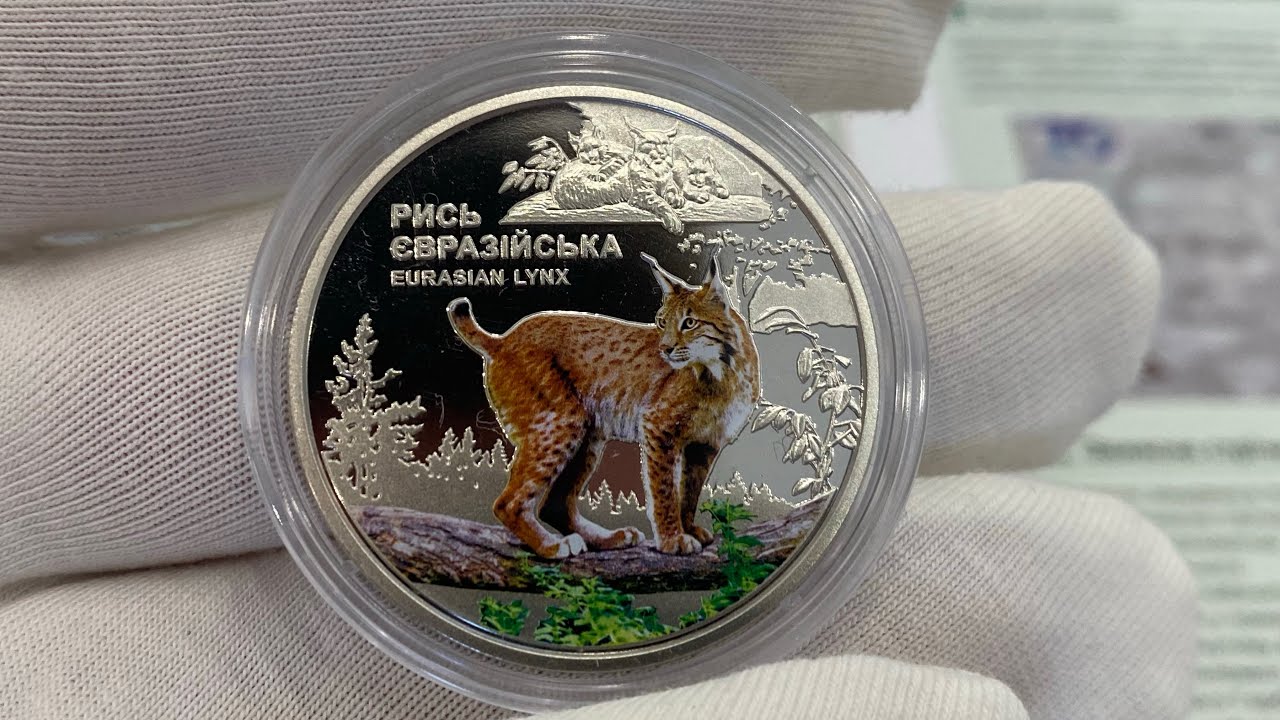 🔥Новые 5 ГРИВЕН🔥 