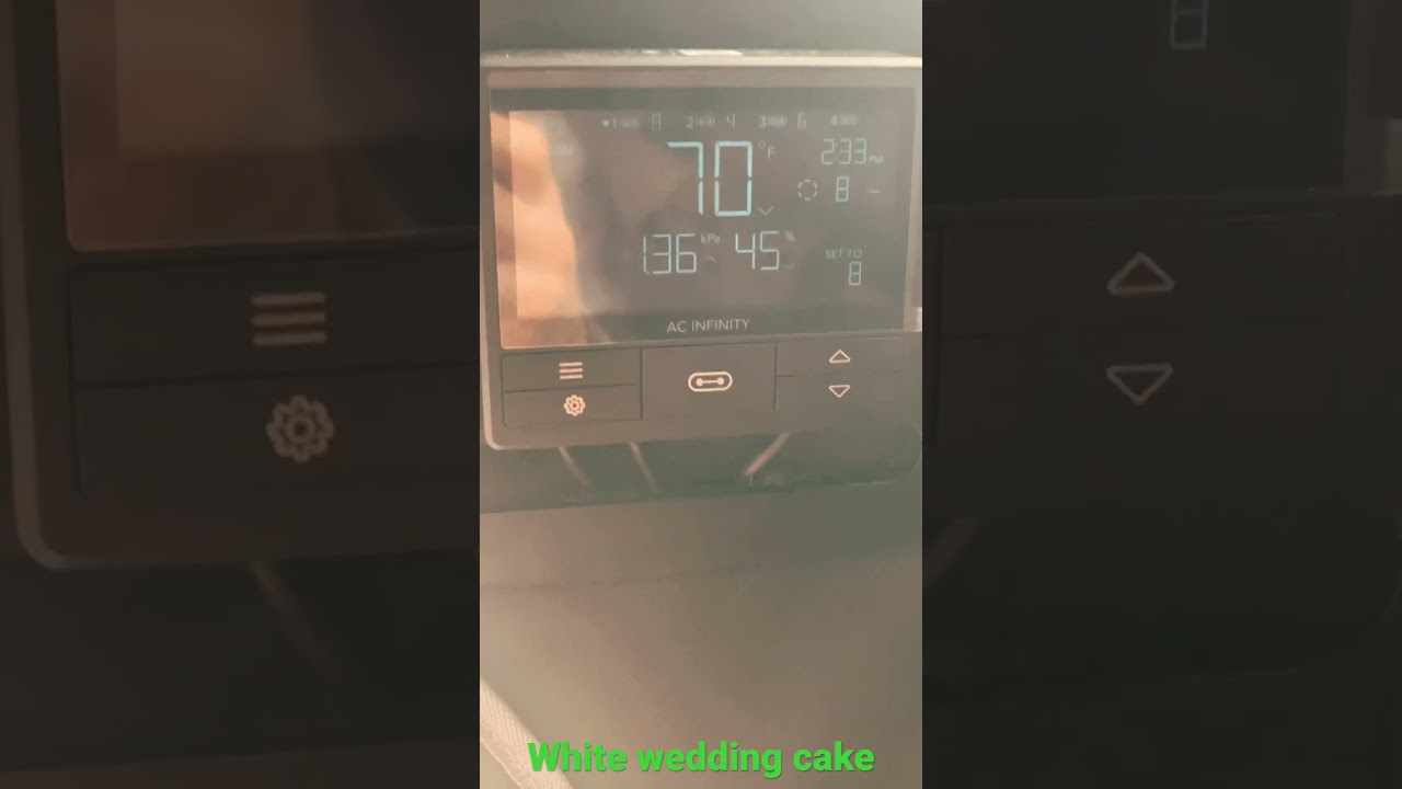 STRAIN UPDATE&hellip;.White wedding cake