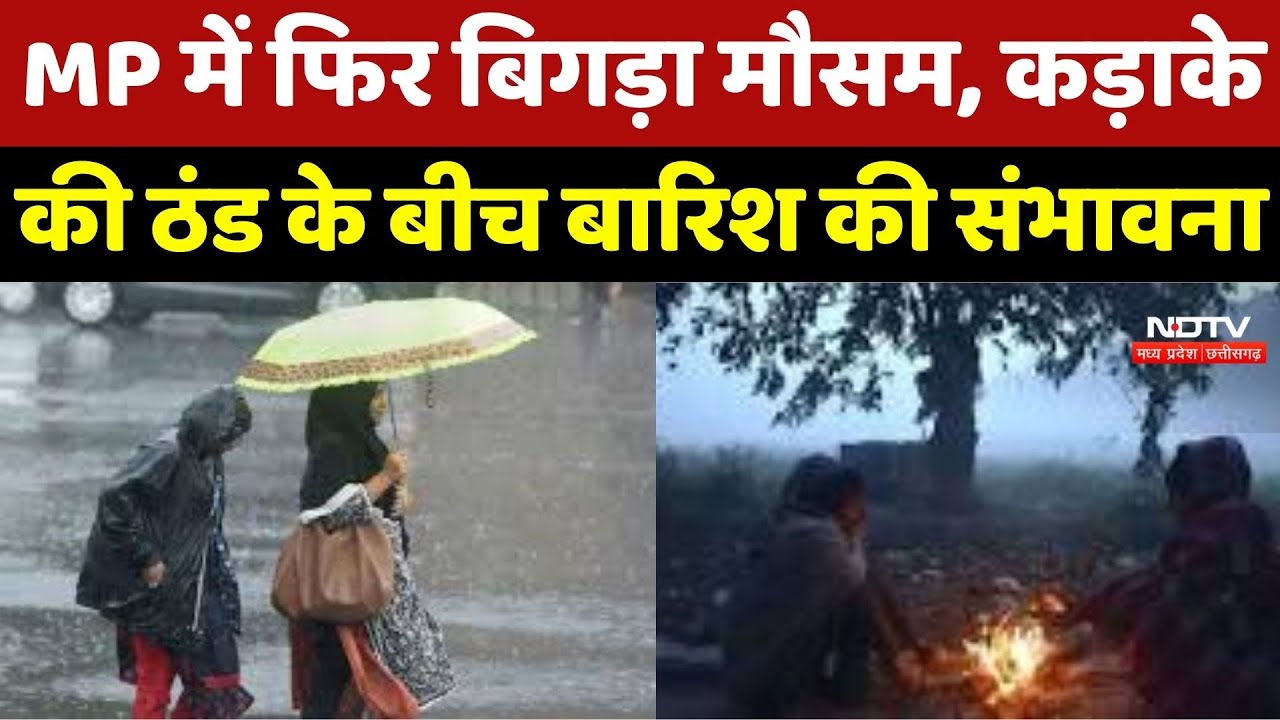 Weather Update : Madhya Pradesh में फिर बिगड़ा मौसम, कड़ाके की ठंड के बीच बारिश की संभावना | Rain