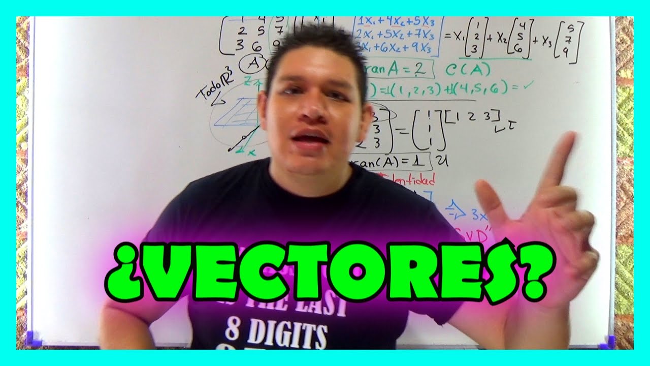 👊EXPLICACI&Oacute;N COMPLETA de QUE es UN VECTOR y SUS COMPONENTES👊