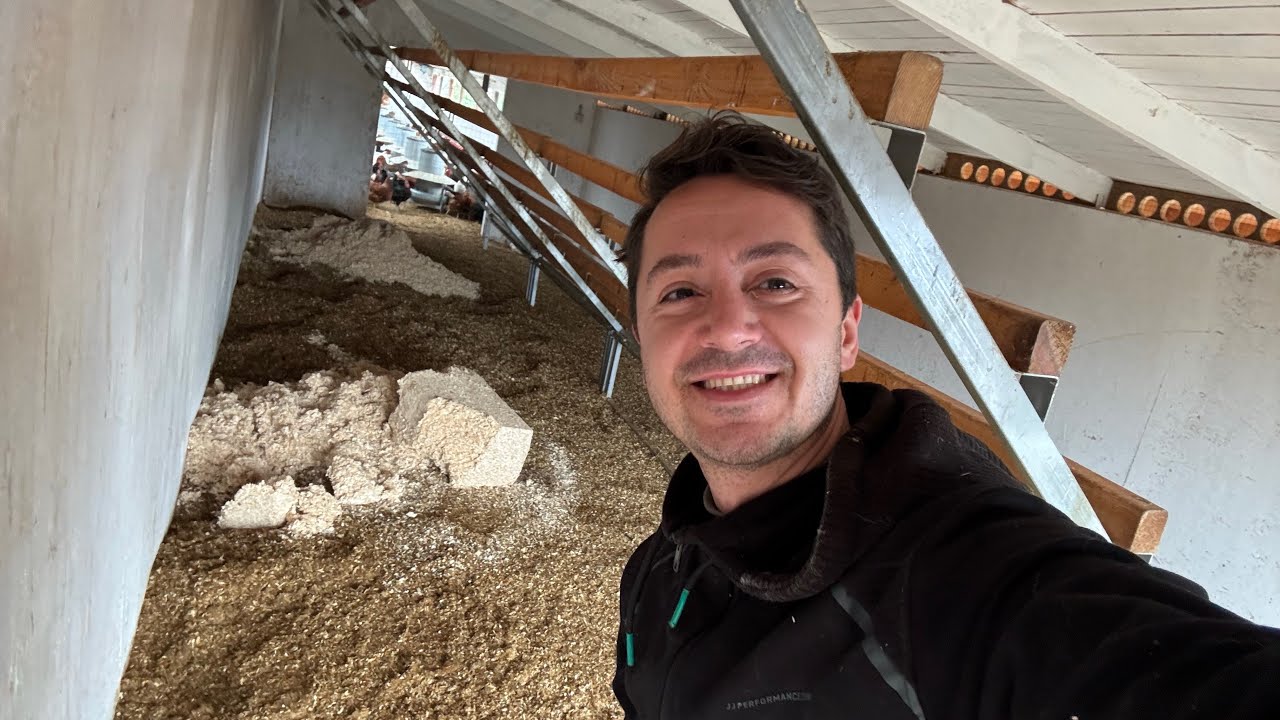 DENTRO AL POLLAIO: GLI UPGRADE DI QUESTI GIORNI 🐔