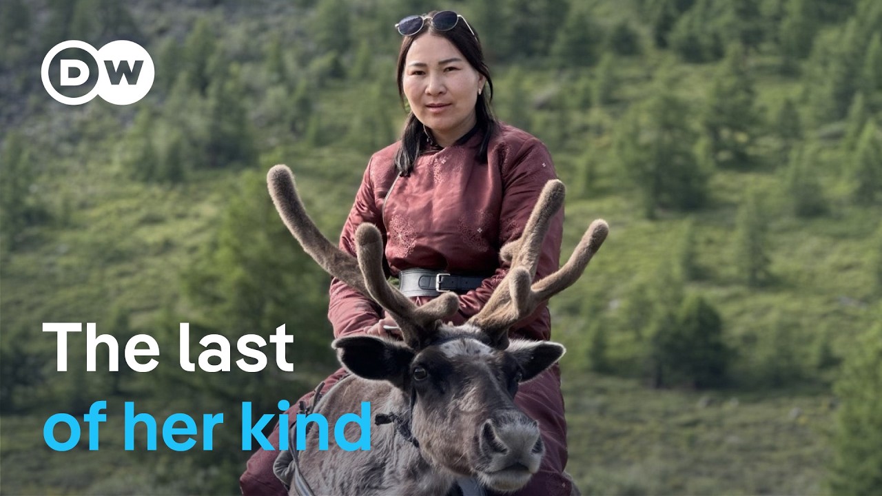 Accompanying a nomad doctor in Mongolia | DW Documentary