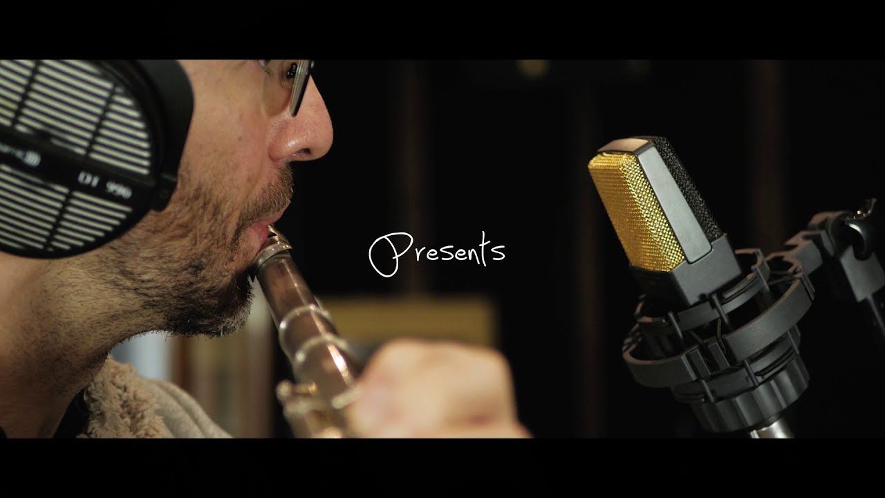Zorg Effects - Blow!Blow!!Blow!!! Stereo preamp - Flute and sax use case.