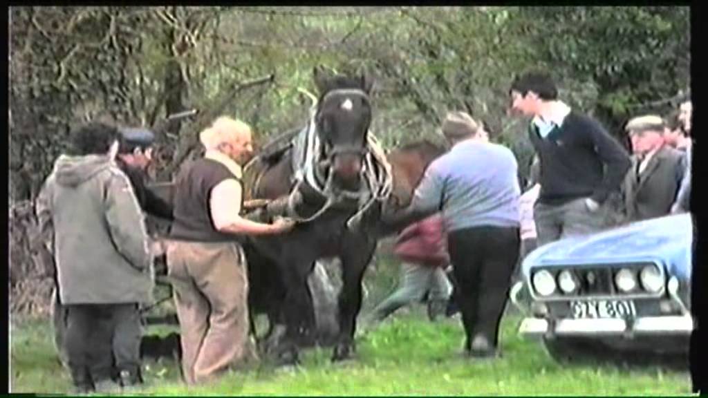 Leitrim Ploughing Championship 1987