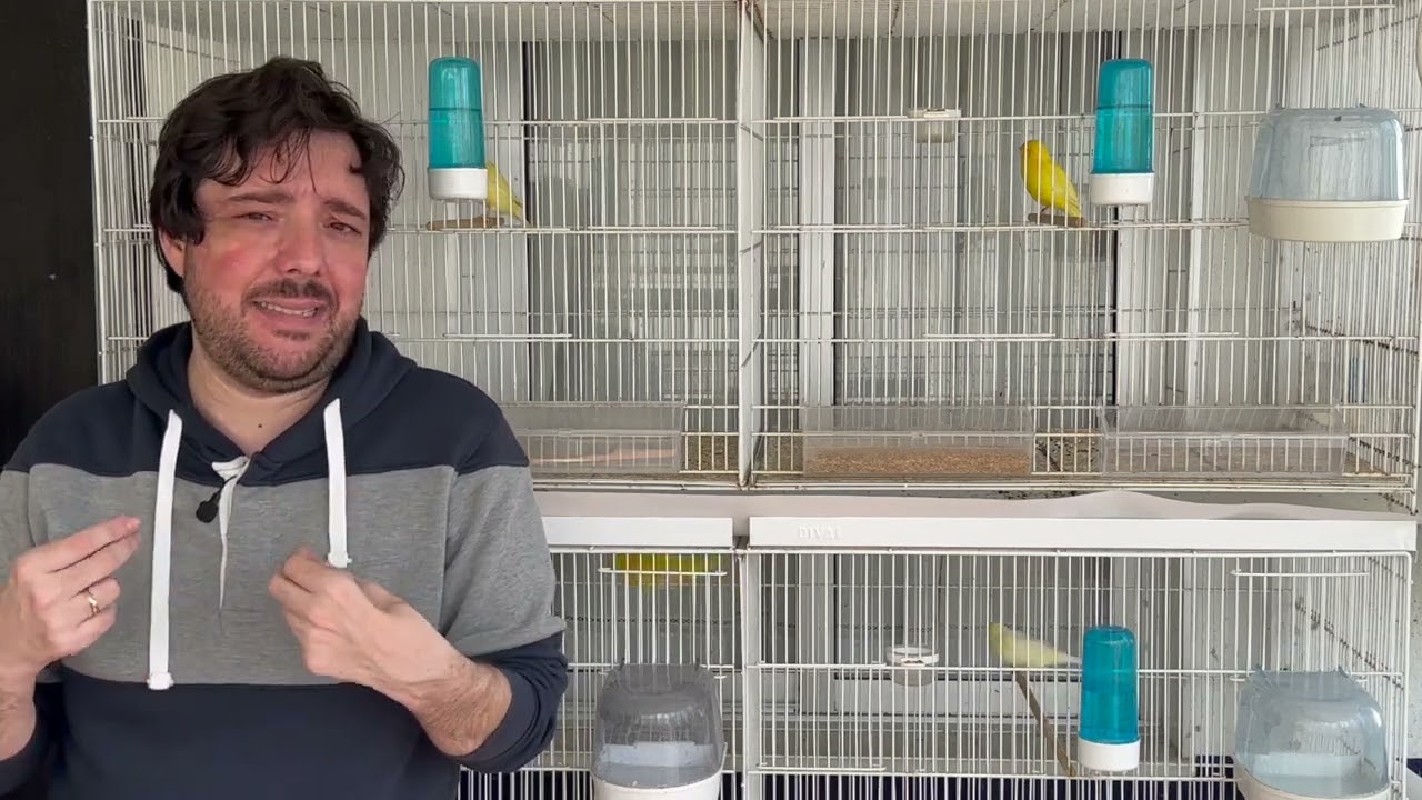 PREPARACIÓN A LA CRÍA 2025 | PARTE 1