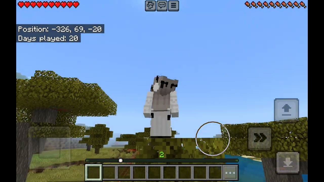 Salt pranks Pepper in Minecraft