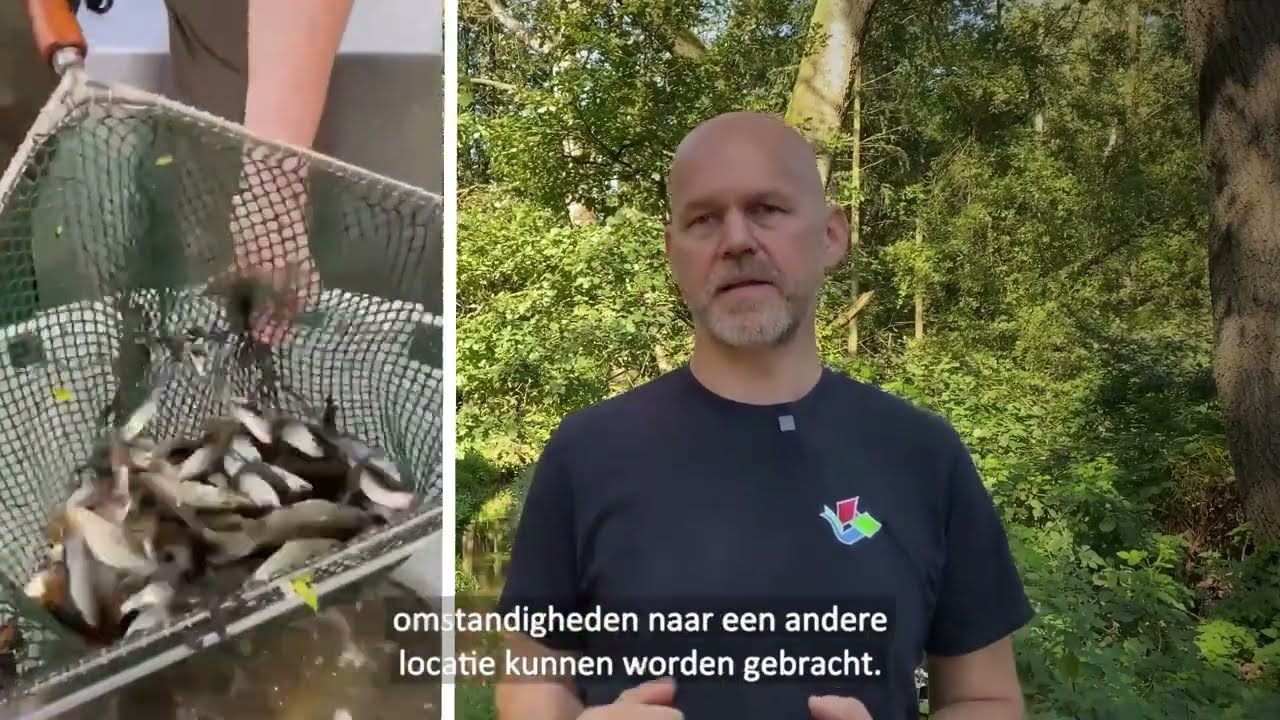 Waarom reddingsacties voor vissen belangrijk zijn tijdens droogte