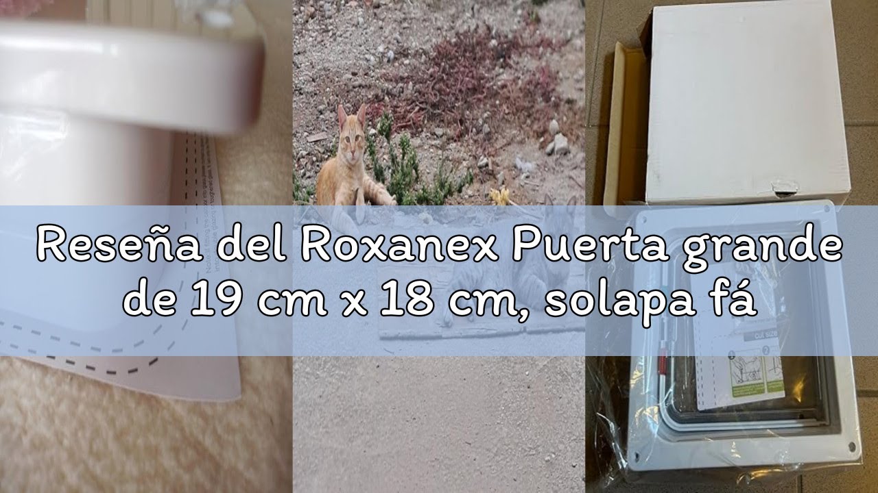 Reseña del Roxanex Puerta grande de 19 cm x 18 cm, solapa fácil de instalar para ventanas, delgada,