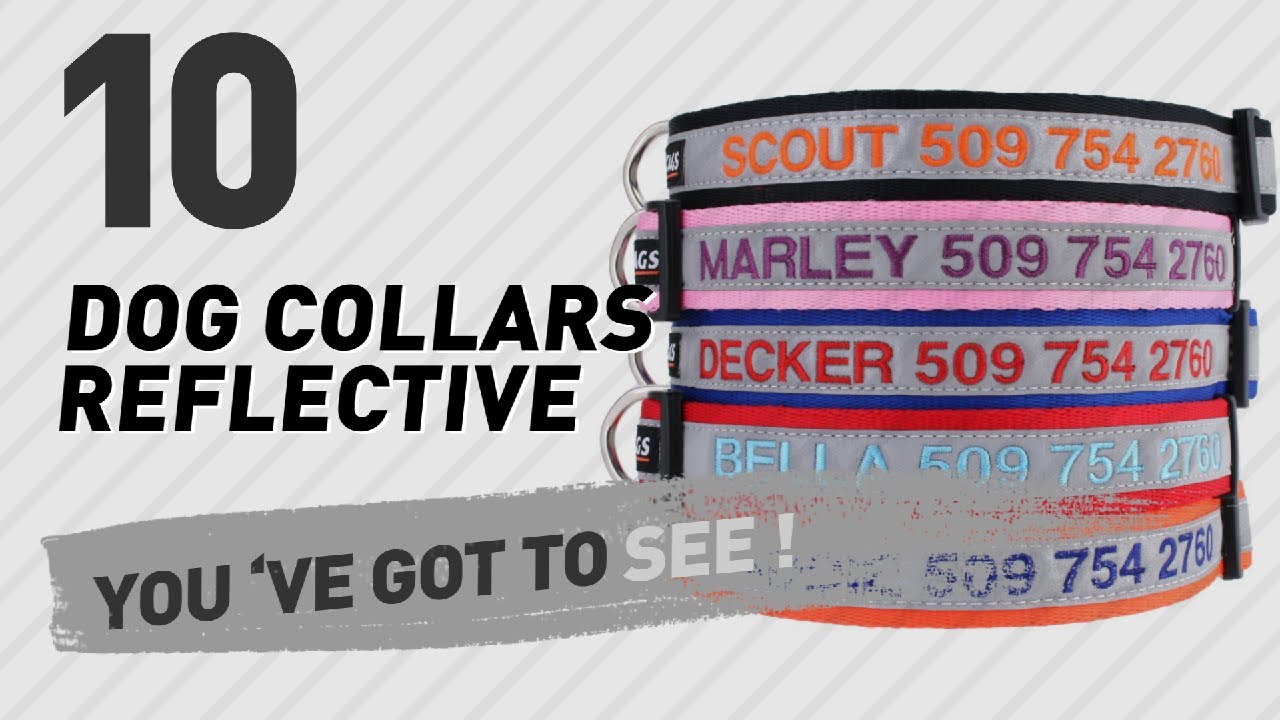 Dog Collars Reflective // Top 10 Most Popular
