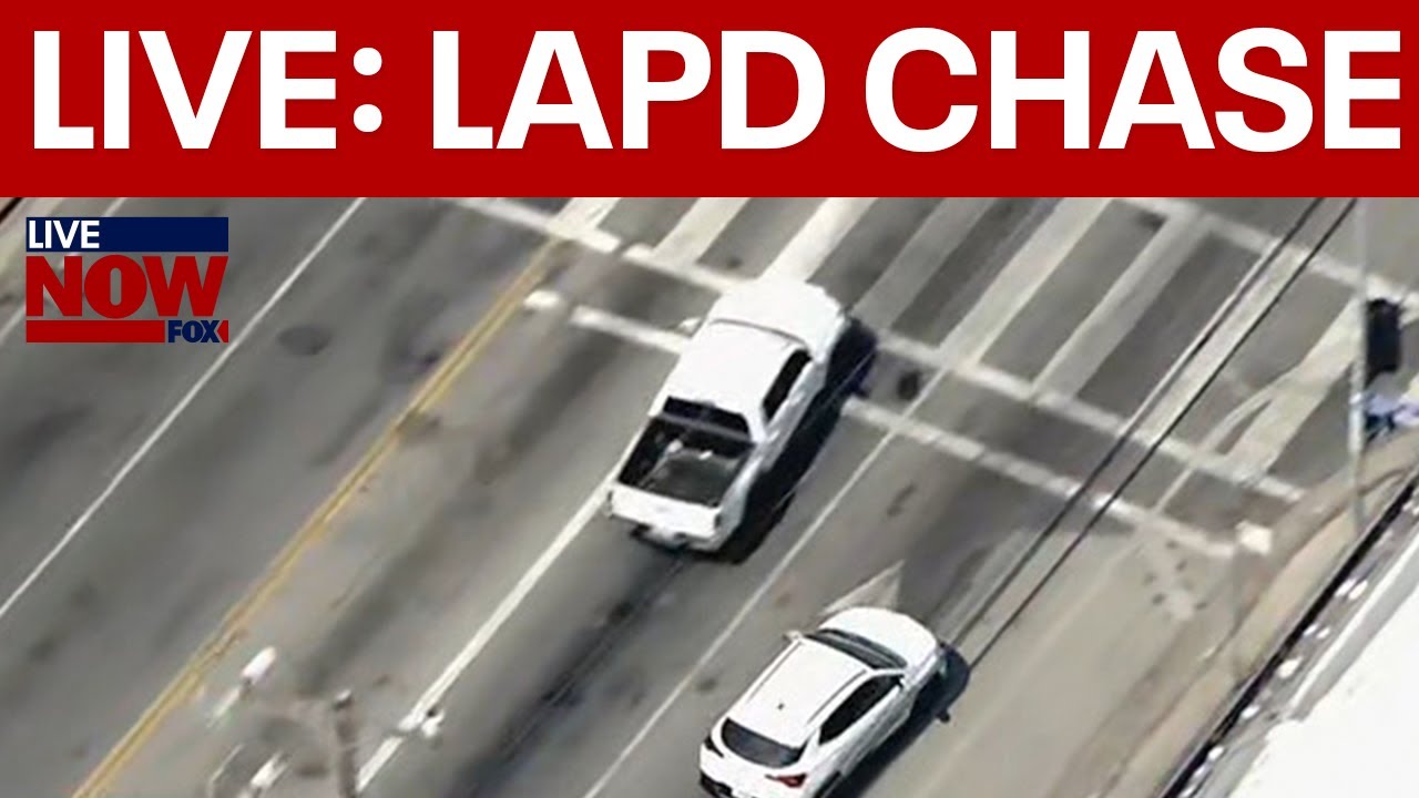 SKYFOX: High-speed police chase in LA, pet dog apprehended