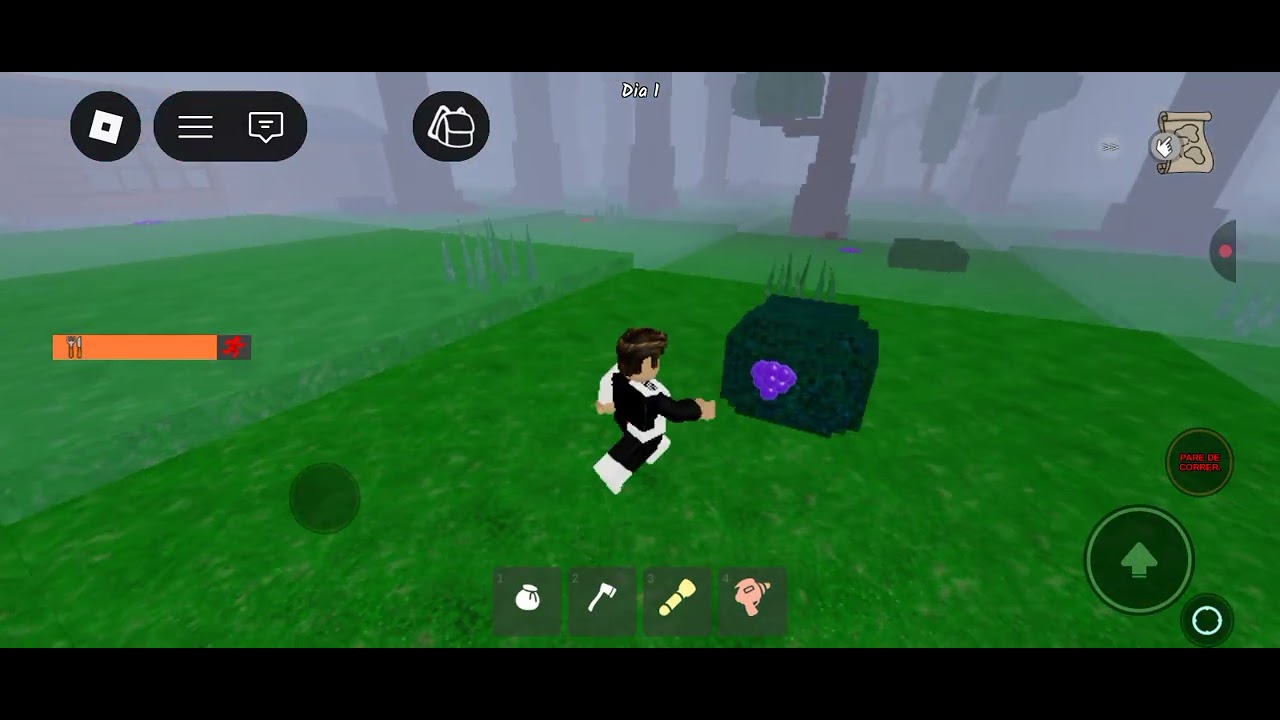 Jogando 99 minutos na floresta